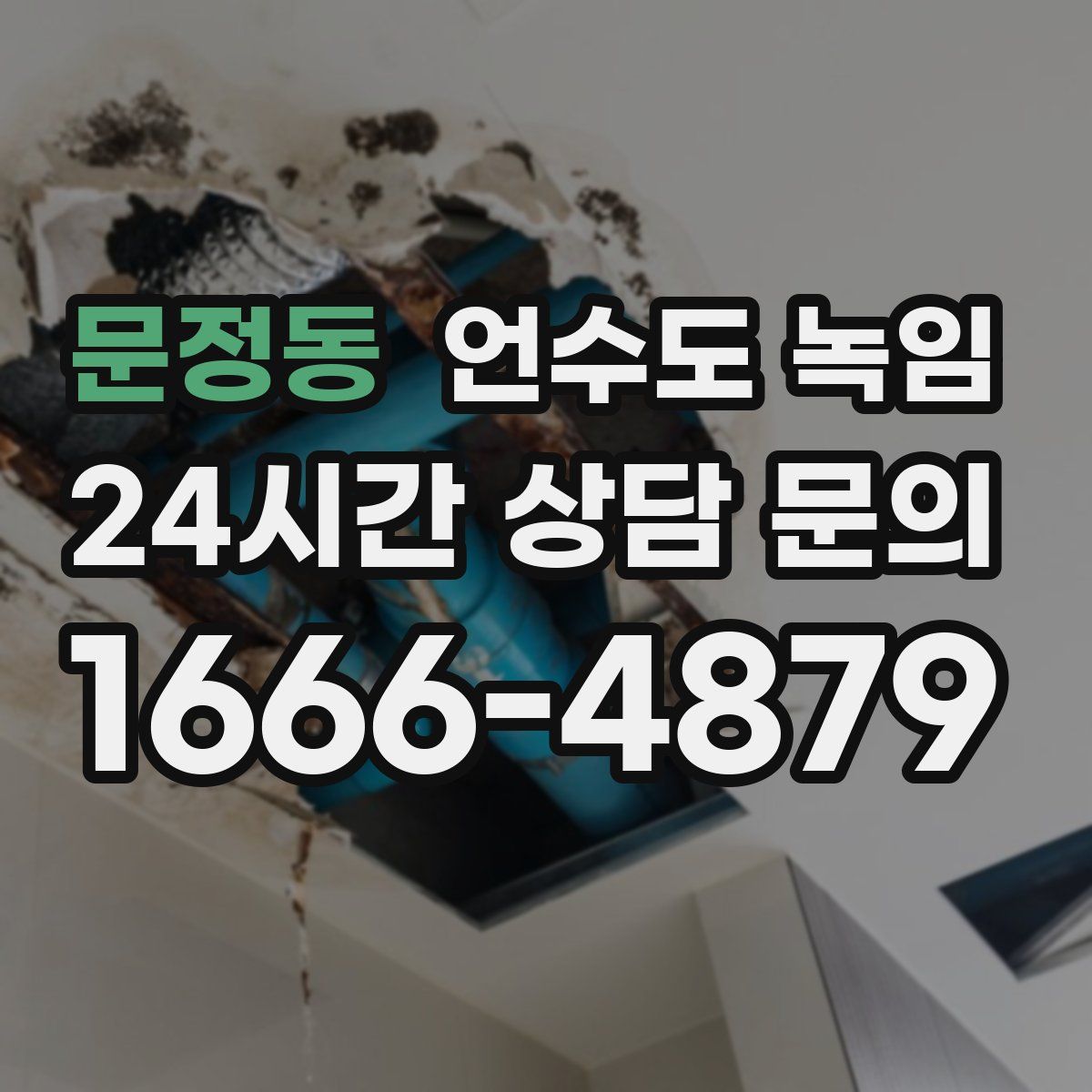 문정동 언수도 녹임