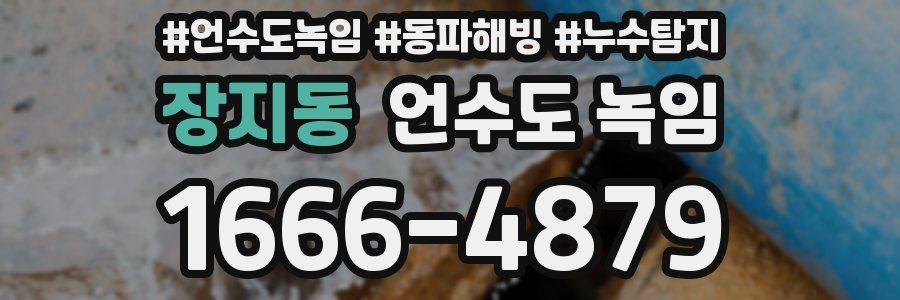 장지동 언수도 녹임