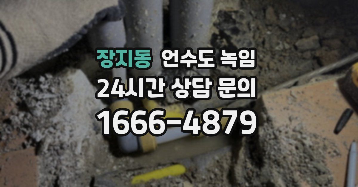 장지동 언수도 녹임