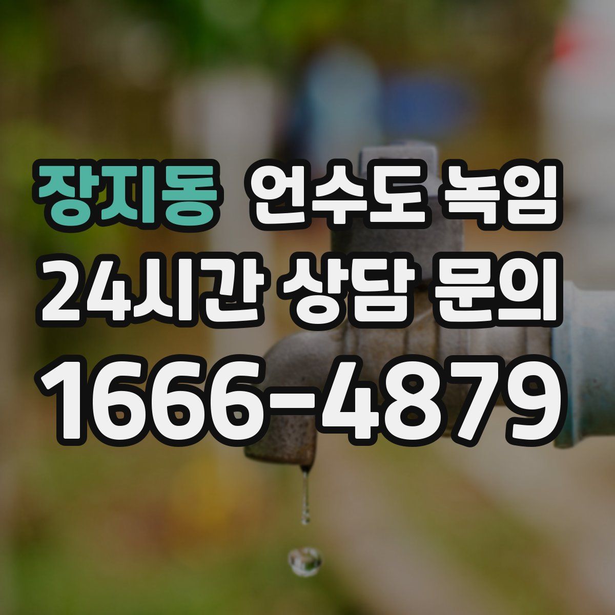 장지동 언수도 녹임