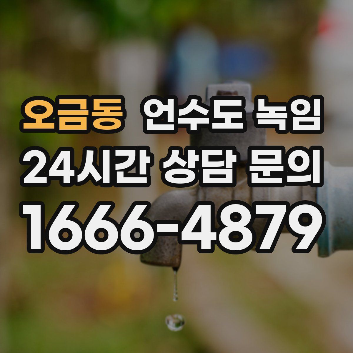 오금동 언수도 녹임