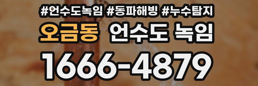 오금동 언수도 녹임