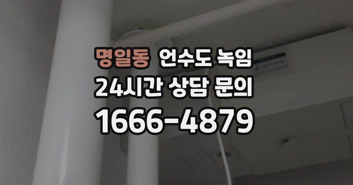 명일동 언수도 녹임