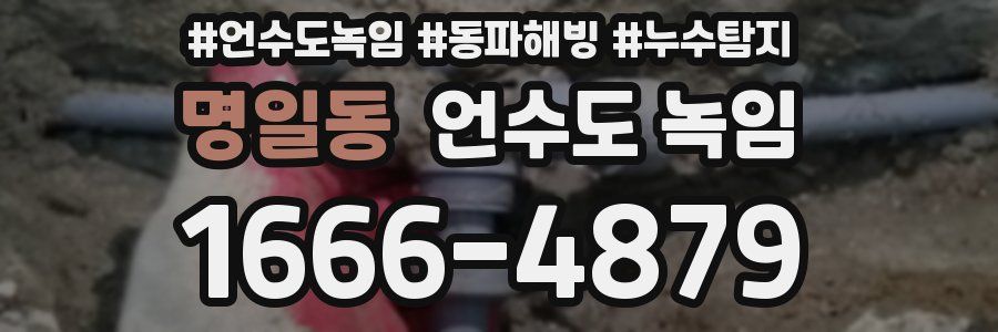 명일동 언수도 녹임