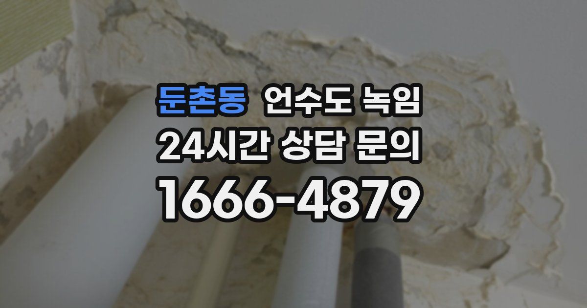 둔촌동 언수도 녹임