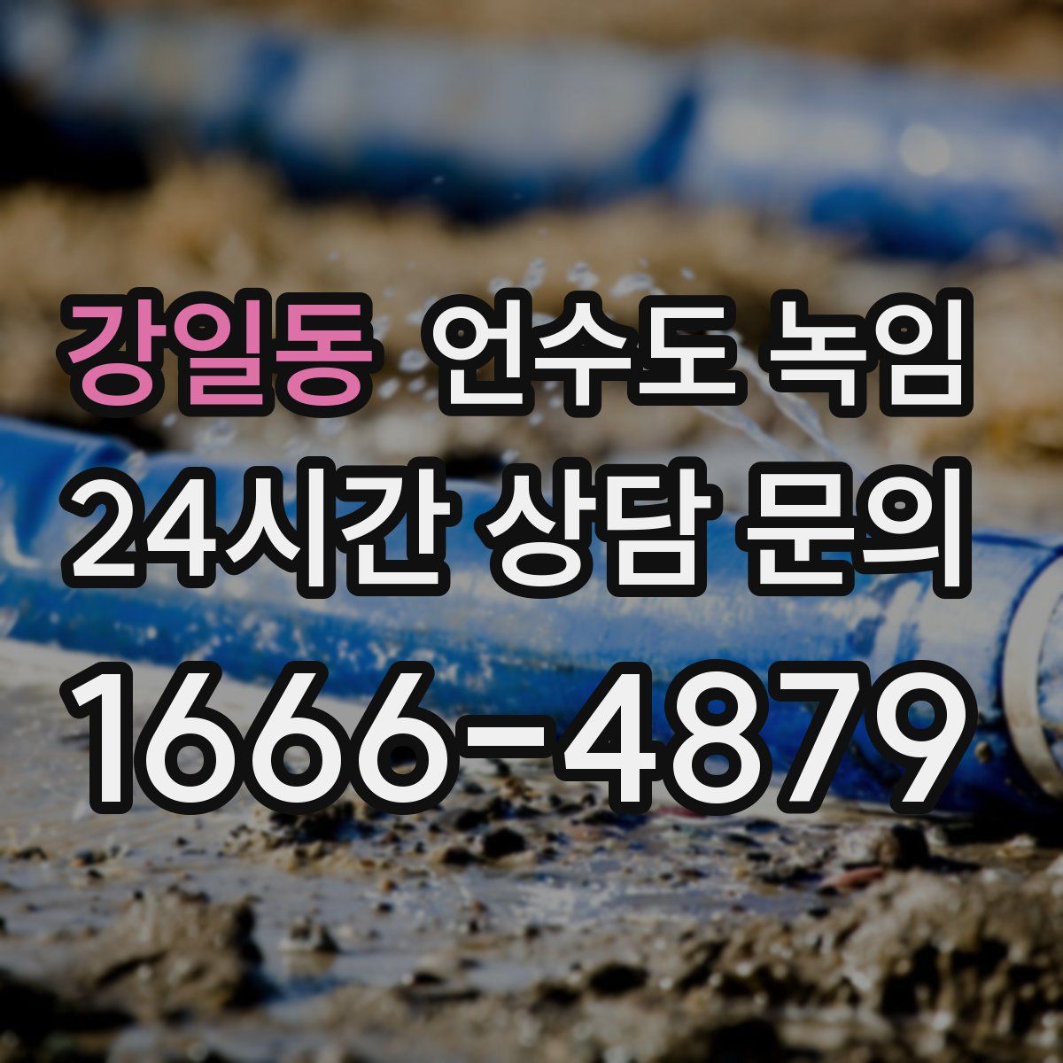 강일동 언수도 녹임