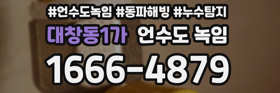 대창동1가 언수도 녹임