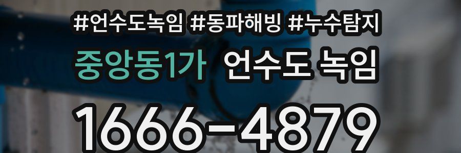 중앙동1가 언수도 녹임