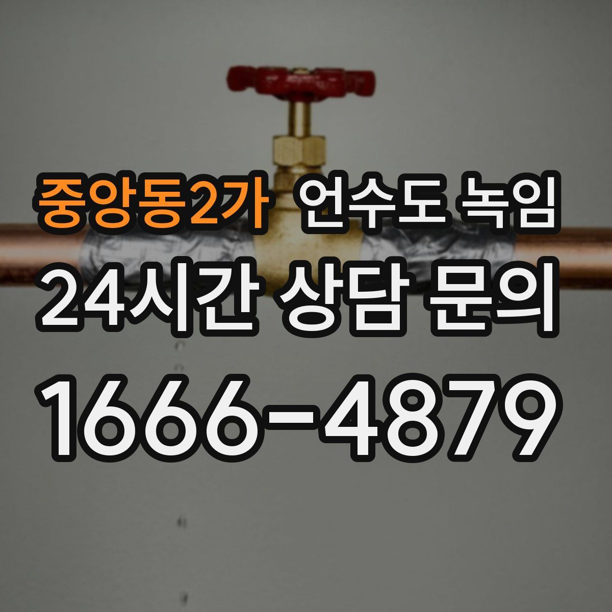 중앙동2가 언수도 녹임