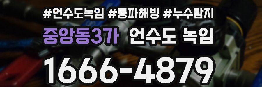 중앙동3가 언수도 녹임