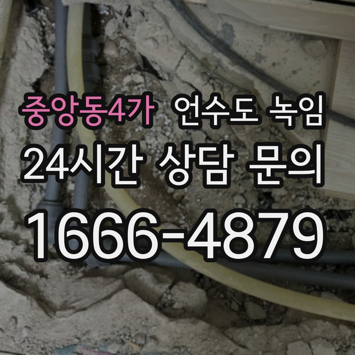 중앙동4가 언수도 녹임