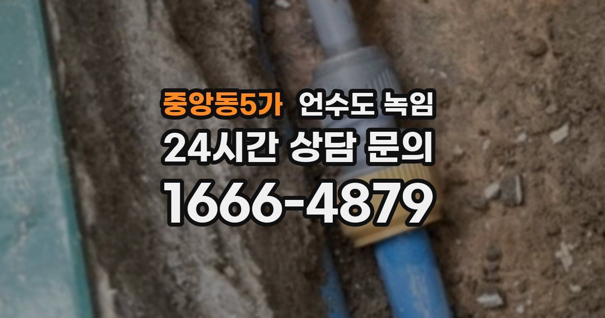 중앙동5가 언수도 녹임