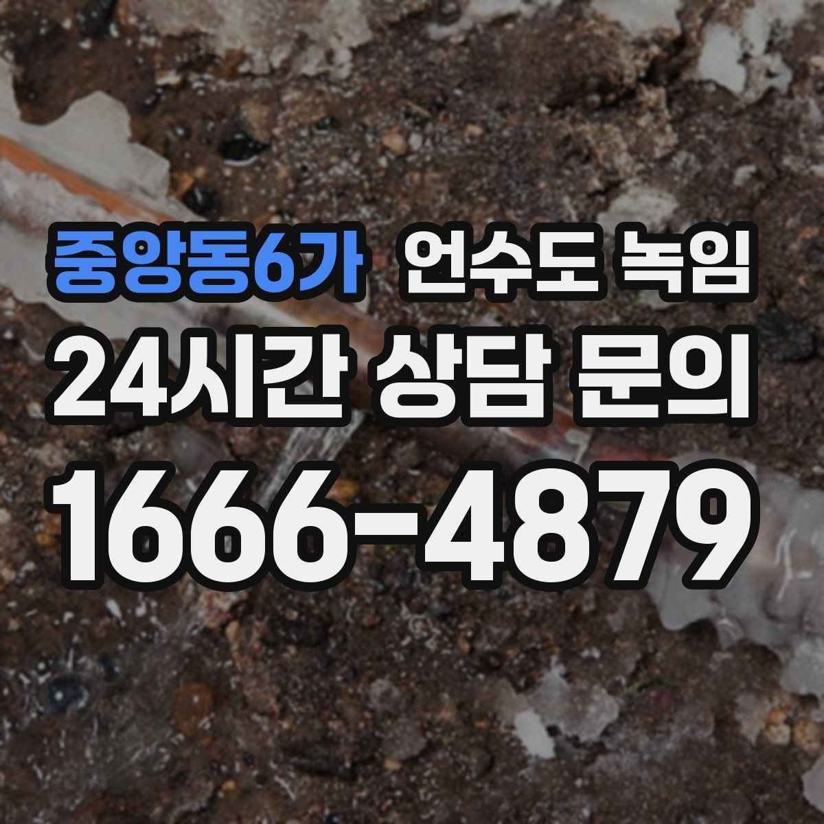 중앙동6가 언수도 녹임