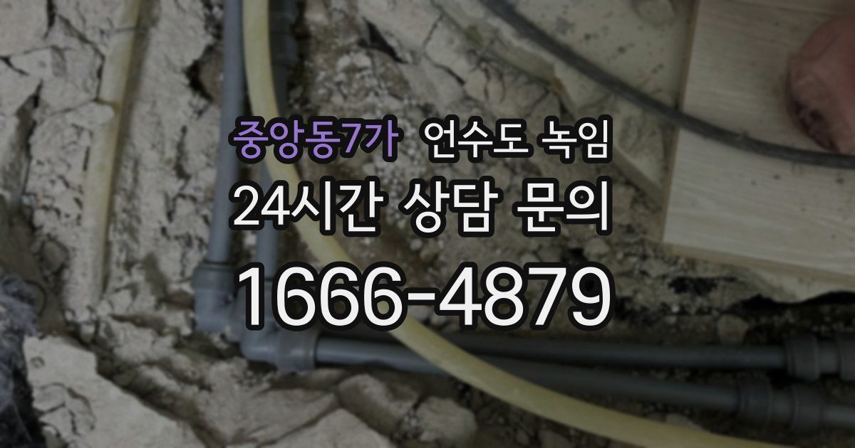 중앙동7가 언수도 녹임