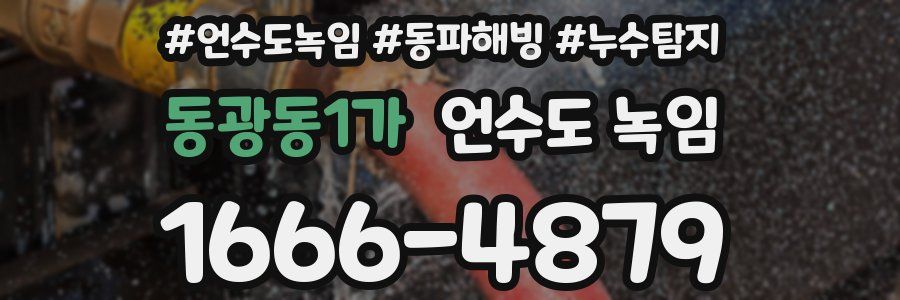 동광동1가 언수도 녹임