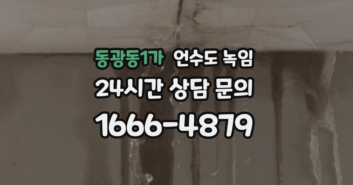 동광동1가 언수도 녹임