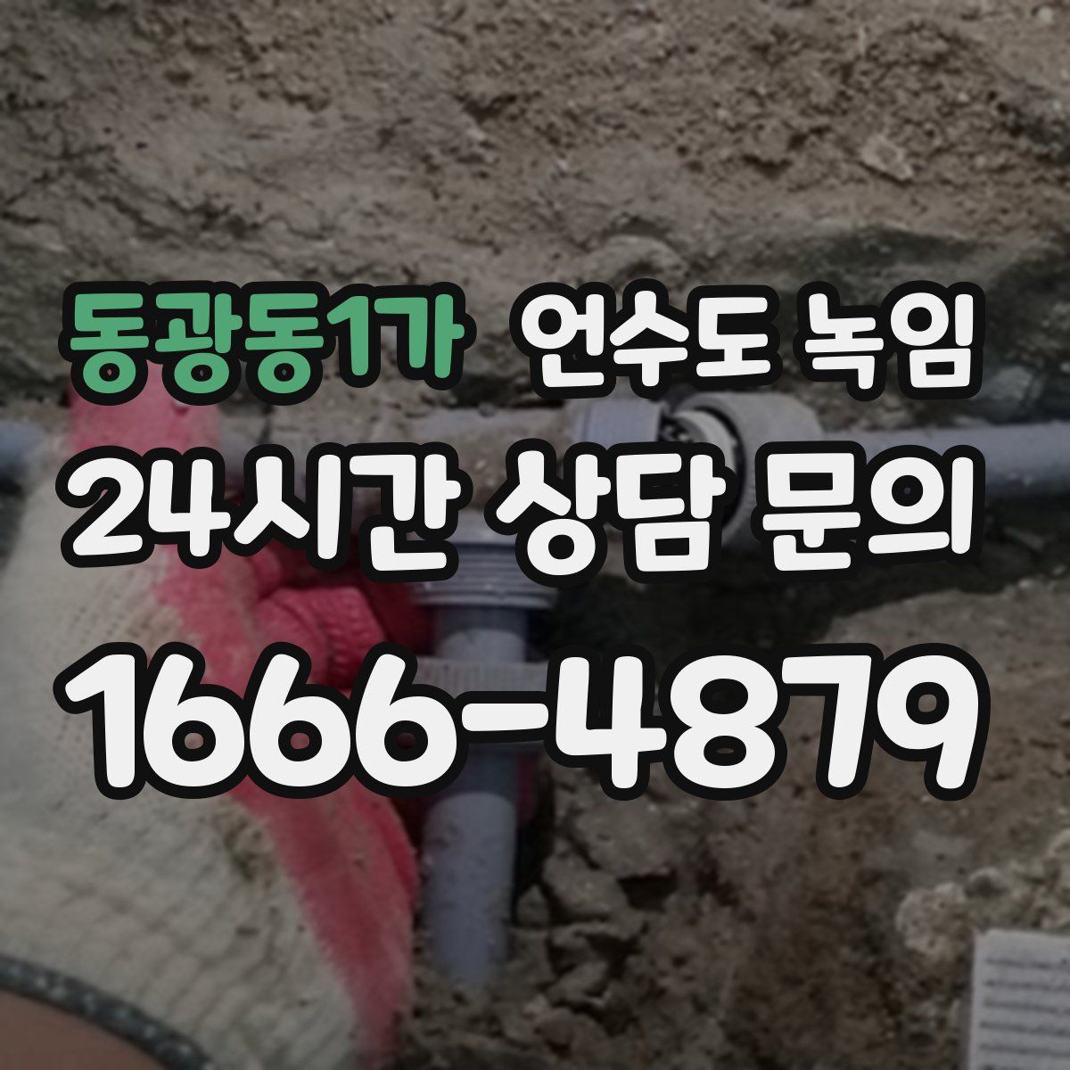 동광동1가 언수도 녹임