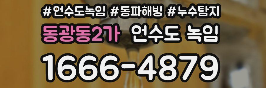 동광동2가 언수도 녹임