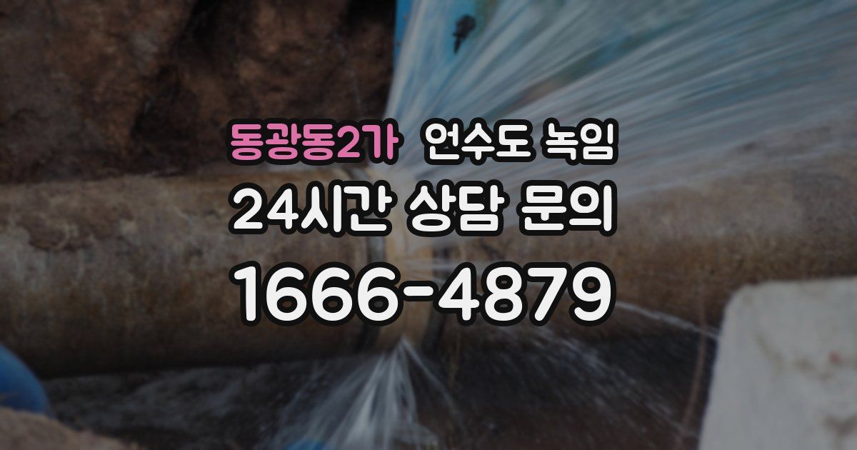 동광동2가 언수도 녹임