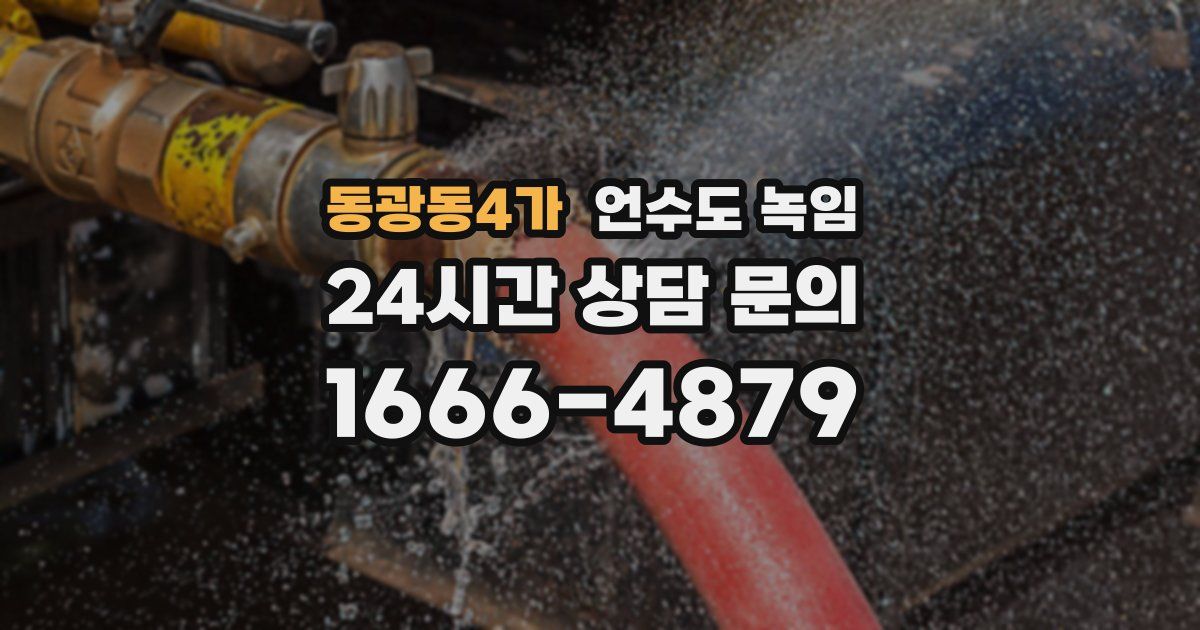 동광동4가 언수도 녹임