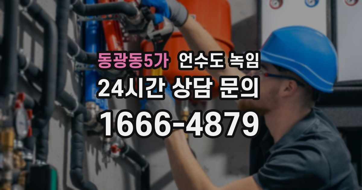 동광동5가 언수도 녹임