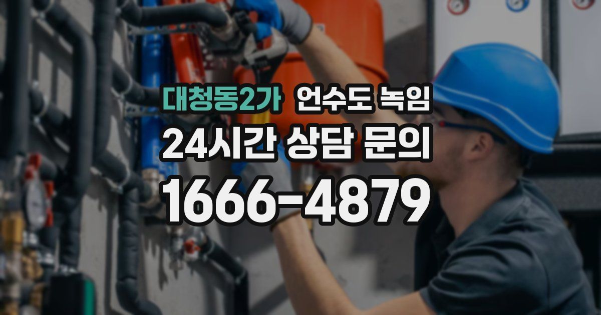 대청동2가 언수도 녹임