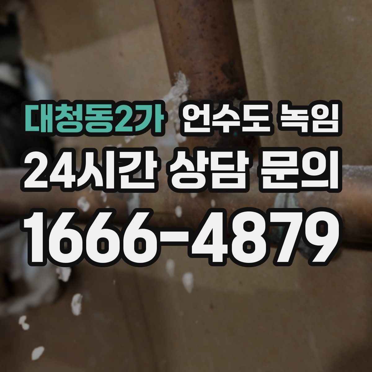 대청동2가 언수도 녹임