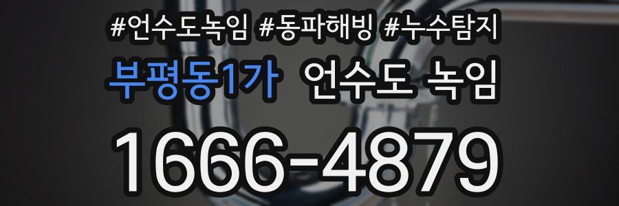 부평동1가 언수도 녹임