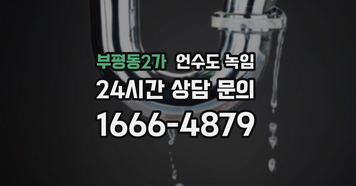부평동2가 언수도 녹임