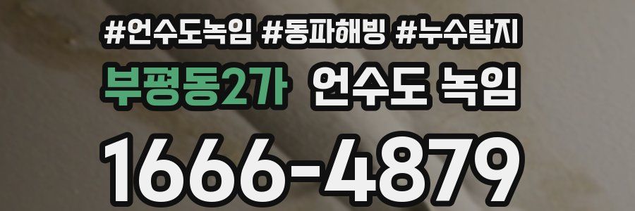 부평동2가 언수도 녹임
