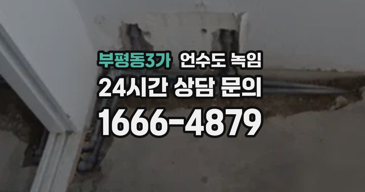 부평동3가 언수도 녹임