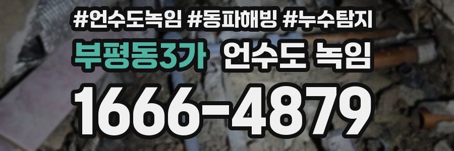 부평동3가 언수도 녹임