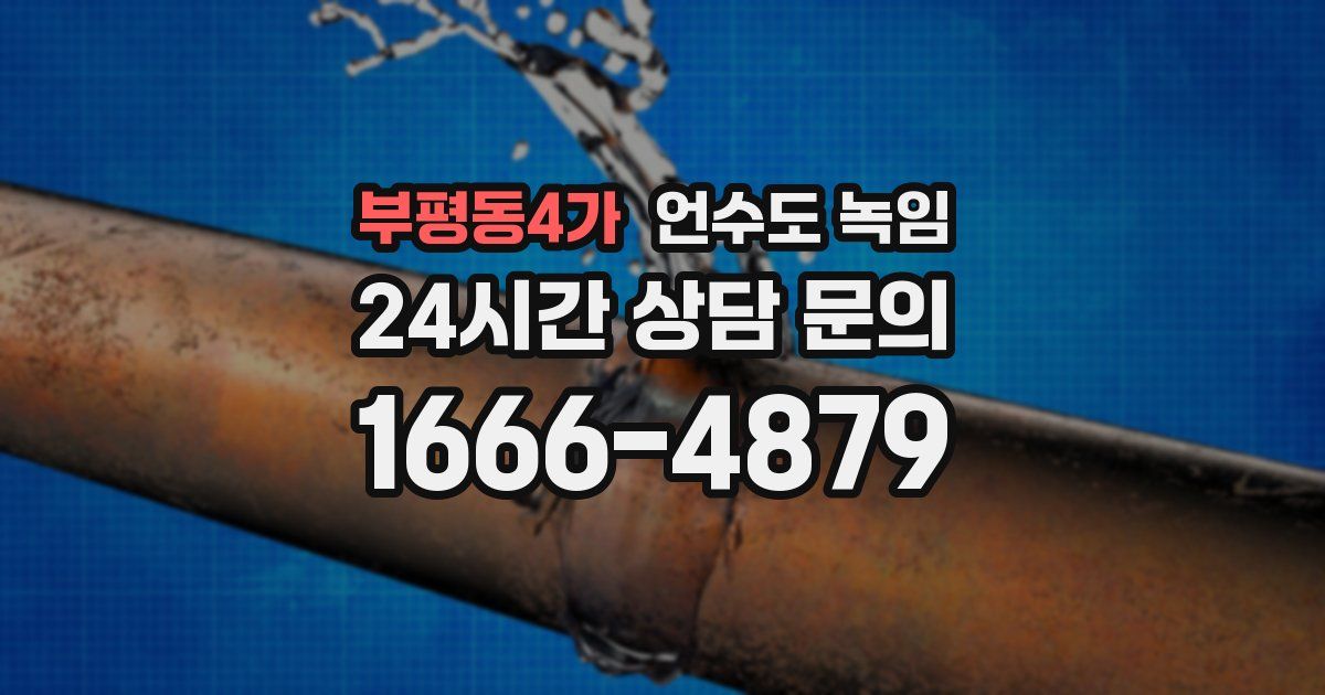 부평동4가 언수도 녹임