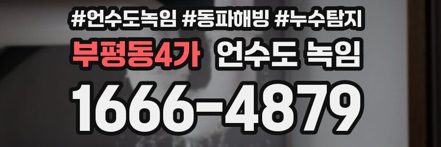 부평동4가 언수도 녹임