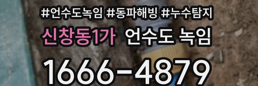 신창동1가 언수도 녹임