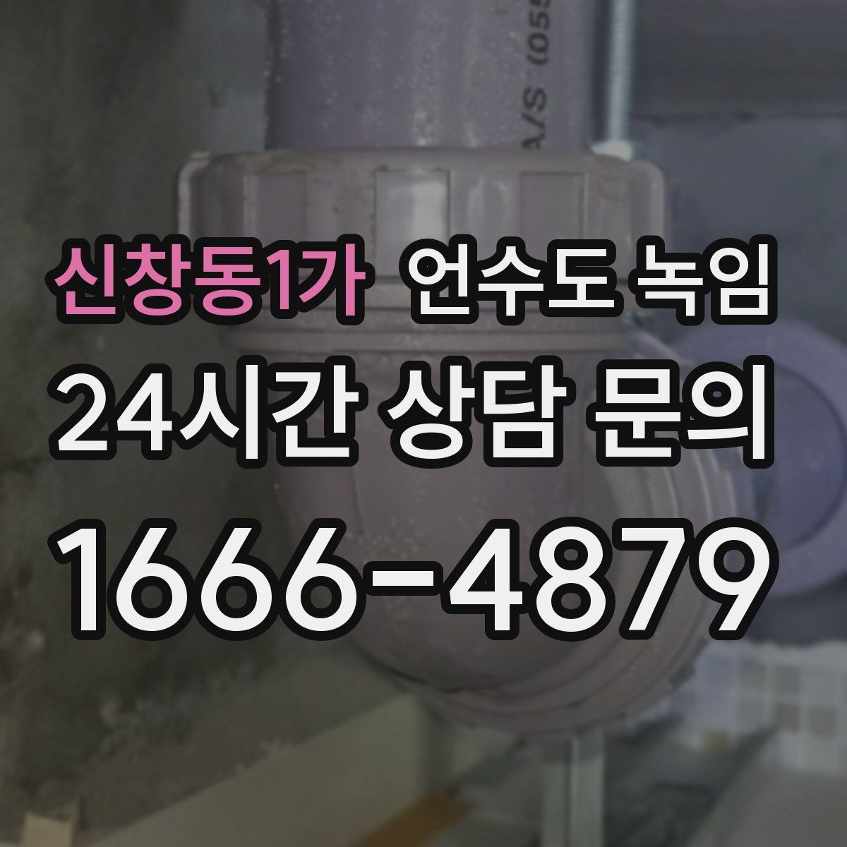 신창동1가 언수도 녹임