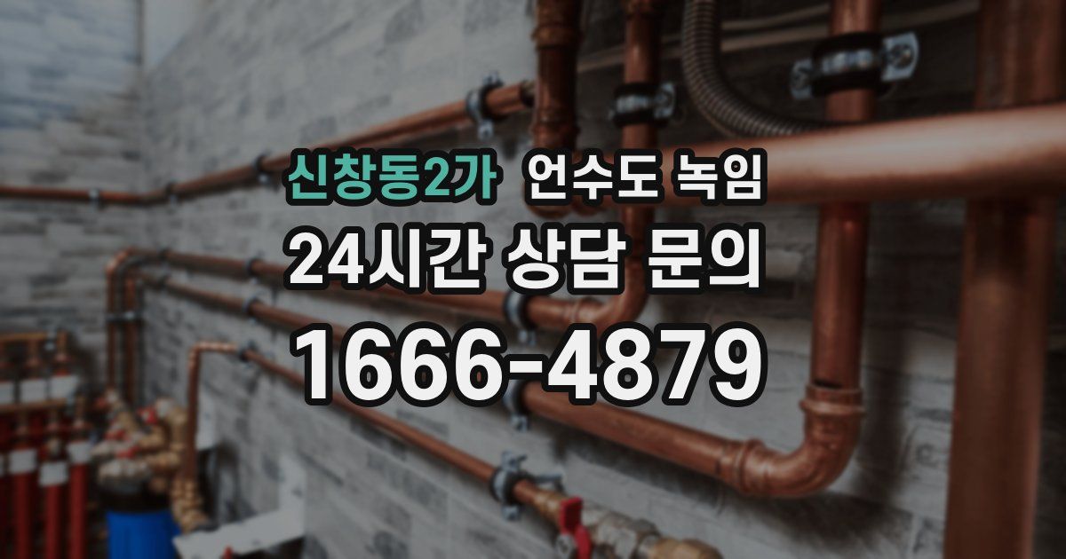 신창동2가 언수도 녹임