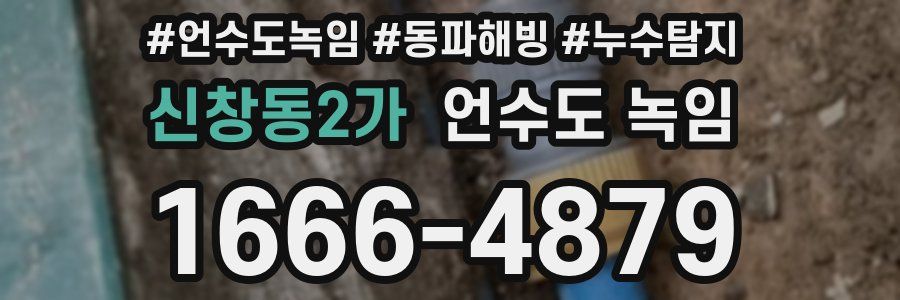 신창동2가 언수도 녹임