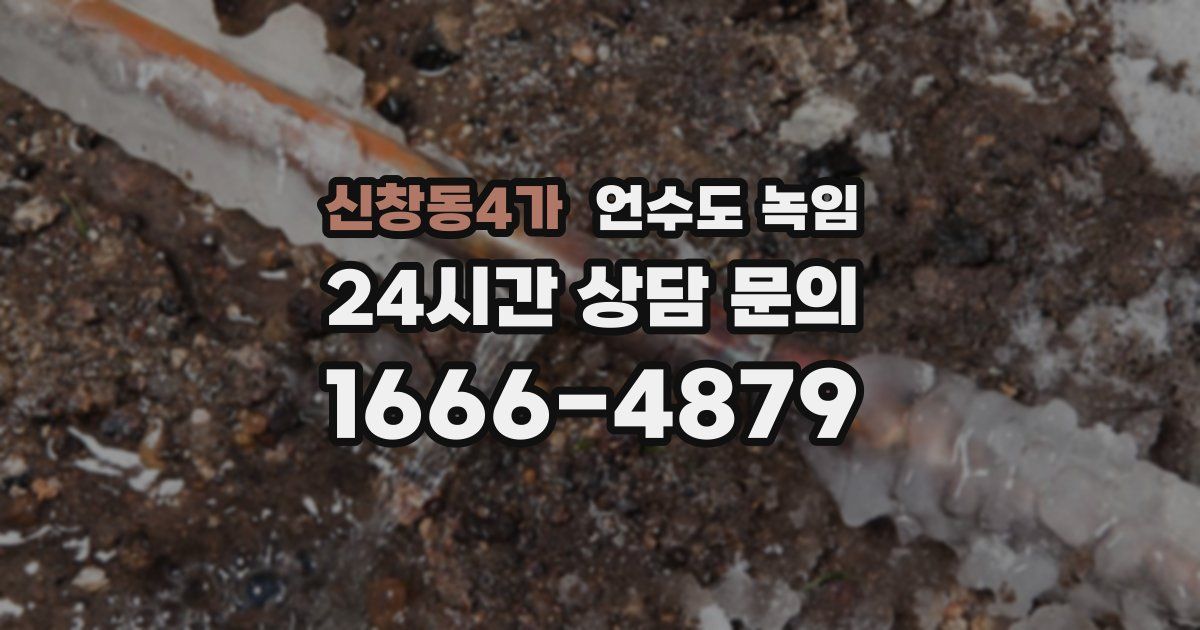 신창동4가 언수도 녹임