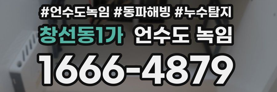 창선동1가 언수도 녹임