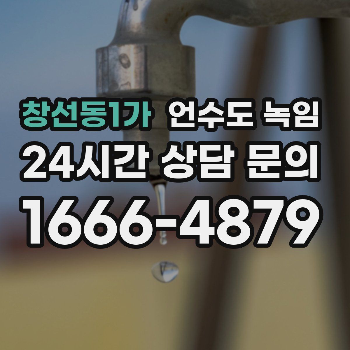 창선동1가 언수도 녹임