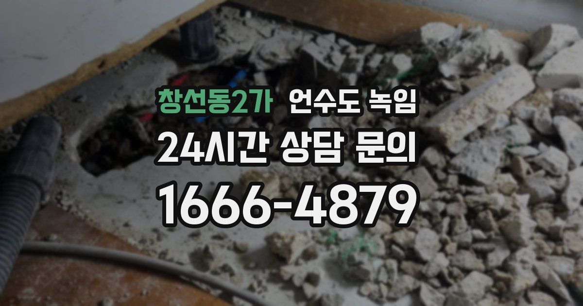 창선동2가 언수도 녹임