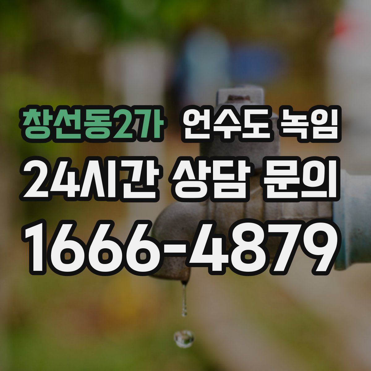 창선동2가 언수도 녹임