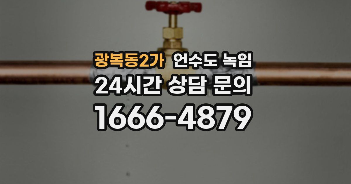 광복동2가 언수도 녹임