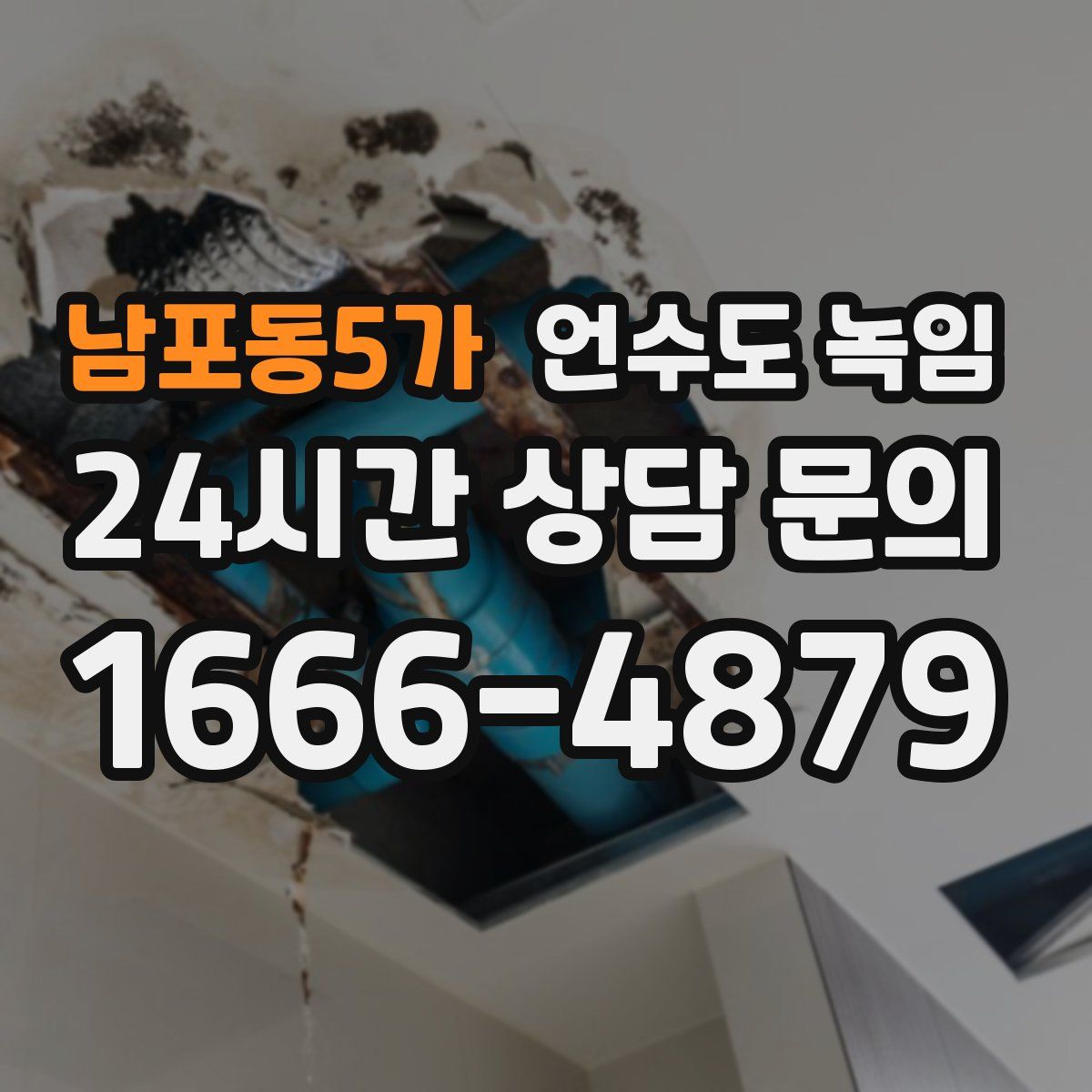 남포동5가 언수도 녹임