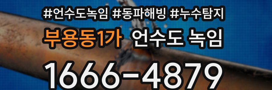 부용동1가 언수도 녹임