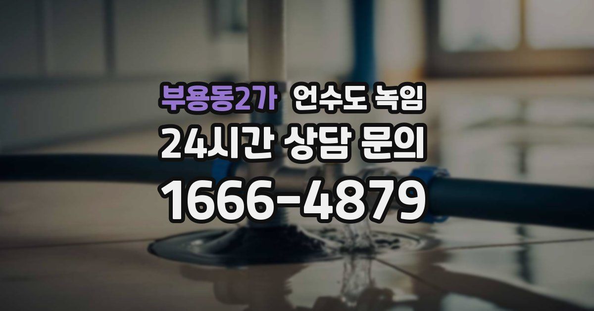 부용동2가 언수도 녹임