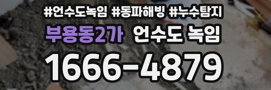 부용동2가 언수도 녹임