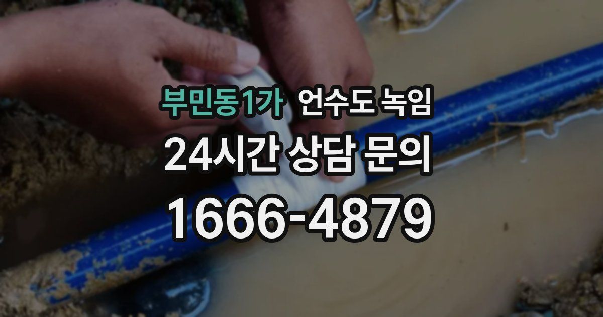부민동1가 언수도 녹임