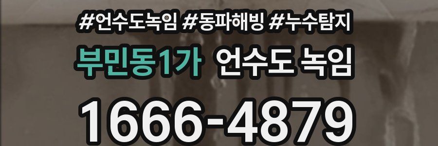 부민동1가 언수도 녹임